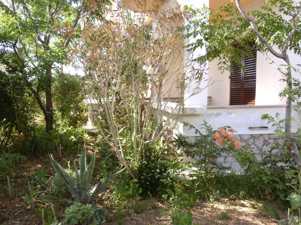 Apartments Kresimir Beauty With Shadow Trees And Parking Place Pag Town Room photo